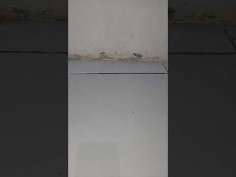 Unboxing Time Part 174 