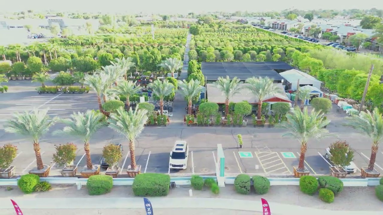 🌳 Moon Valley Nurseries (An Aerial View) 