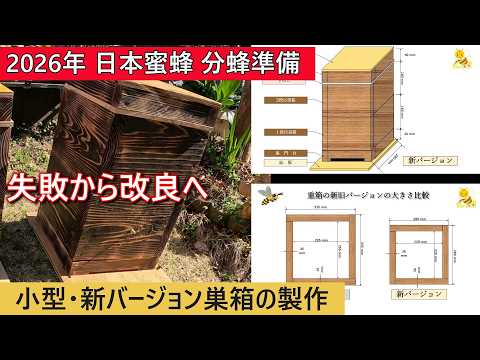 日本蜜蜂巣箱　分蜂中です！　　811 Japanese honeybee swarm preparation for 2026. Making a new