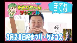 令和8年3月号みどりちゃんチャンネル【群馬県千代田町】ケーブルテレビ