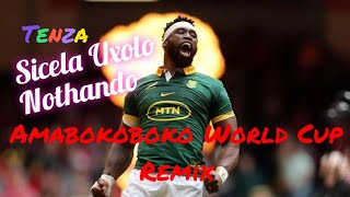 Tenza - Sicela Uxolo Nothando (Amabokoboko  Springboks World Cup Remix) - Wouks1985
