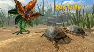 Box Turtle Simulator Android Gameplay HD screenshot 5