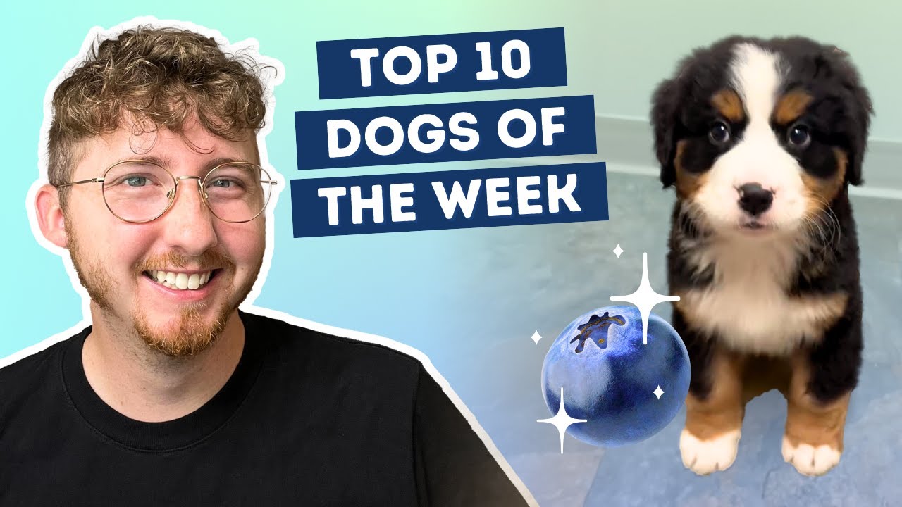 He Tried His First Blueberry