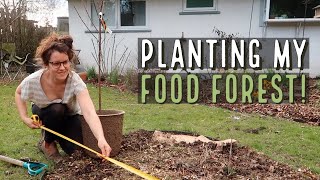 Planting my backyard permaculture food forest 🌳
