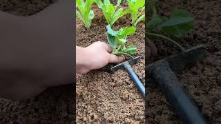 ma 000369mini rotary tillage and ridding all -in one tree short view