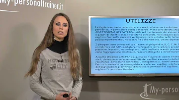 Quando prendere lo Ginkgo Biloba?