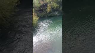 Río Lonquimay, Lonquimay, Araucanía Chile 🇨🇱