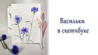 Порисуем Васильки? Акварель с натуры.