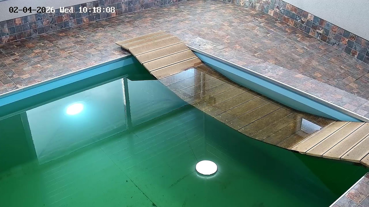 Angel Valley Farm LIVE 24/7 🟢 Relaxing Capybara Pool Stream 🐹💦