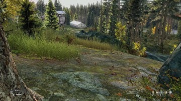 DayZ official double kill