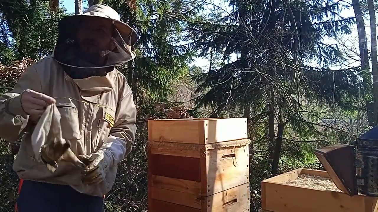 Předjarní prohlídka včelstev a kontrola zásob