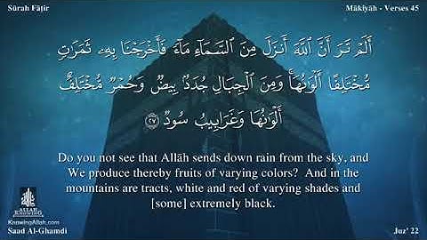 سورة فاطر بصوت سعد الغامدي مترجمة بالإنكليزية