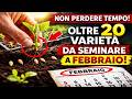 NON PERDERE TEMPO! Oltre 20 varietà da seminare a febbraio per un raccolto super anticipato.