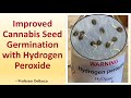 Improved cannabis seed germination with hydrogen peroxide
