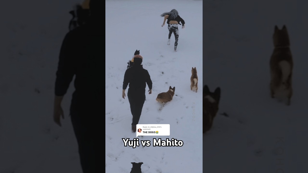 The first thing we do when it snows: 🐺🐇 #jjk #jujutsukaisen #yuji #itadori #mahito #cosplay #snow