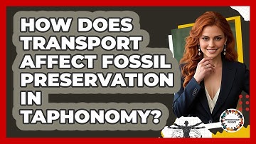 How Does Transport Affect Fossil Preservation In Taphonomy? - Anthropology Insights