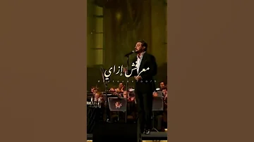لقيتك بتغير كل حياتي ماجد المهندس سيرة الحب ام كلثوم بليغ حمدي Hakayaelqalb حكايا القلب 
