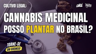 PLANTE MACONHA EM 5 DIAS | DIA 1 | COMO LEGALIZAR SUE CULTIVO - HABEAS CORPUS (HC)