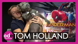 Spider-Man: Tom Holland brings his dog to our interview Spider-Man: Tom Holland brings his dog to our interview