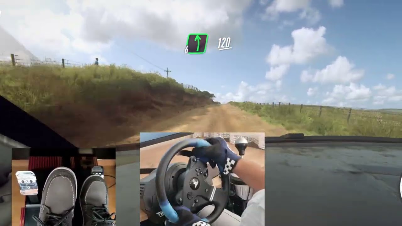 WV POLO RALLY (Rally Newzealand) | Codemasters Dirt 2.0 | T150 pro + TH8A