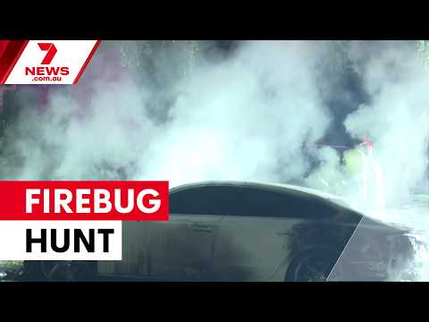 Alleged arson attack destroys two cars in South Penrith | 7NEWS