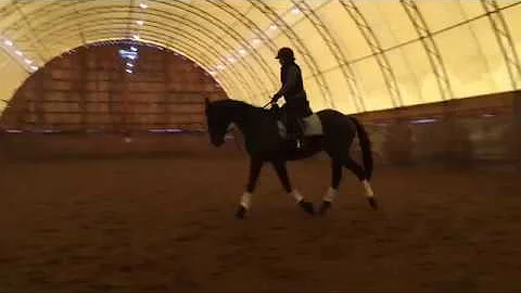 Dressage Lesson on Veronica Dec 2018