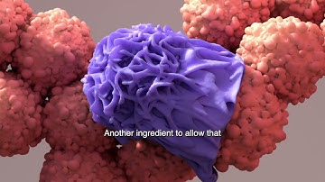 New Insights for Breast Cancer