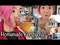 MAKING MY OWN KOMBUCHA // VLOGTOBER DAY 3