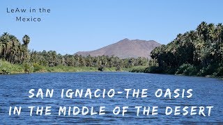 In this episode, we crossed baja california from the pacific ocean to
sea of cortez visiting san ignacio. ignacio is a palm oasis town
mulege muni...