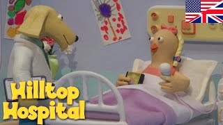Hilltop Hospital  New Talent S04e07 Hd  Cartoon For Kids