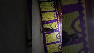 VID 20100101 055239
