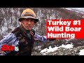 Wild Boar Hunting Turkey 1 Team Work охота на кабана صيد الخنازير البرية