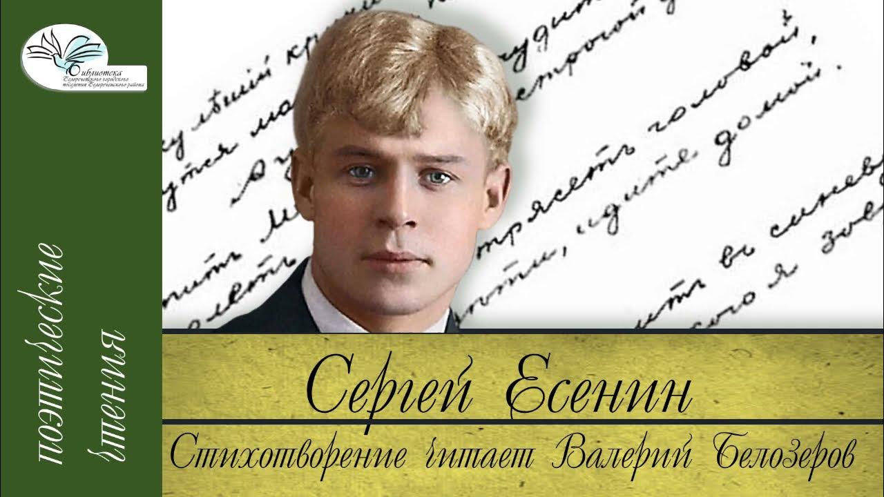 Есенин сын стих. Есенин сукин Есенин сын стих. Стихи Сергея Есенина сукин сын. Сукин сын стих Есенин.