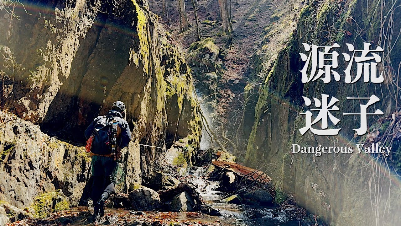 【渓流釣り】ありそうでない道。どこまでもいるイワナ。