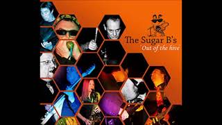 3.  Messin with the Kid.  Out of the Hive. The Sugar Bs 2003.
