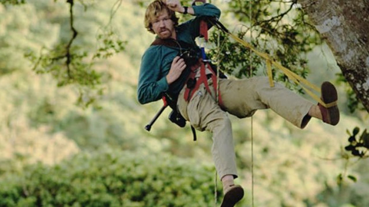 nanoscience instruments Cool Jobs: Ecological Adventurer