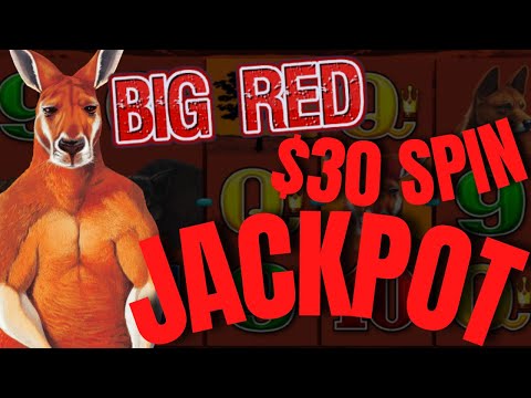 red dog casino no deposit bonus march 2022