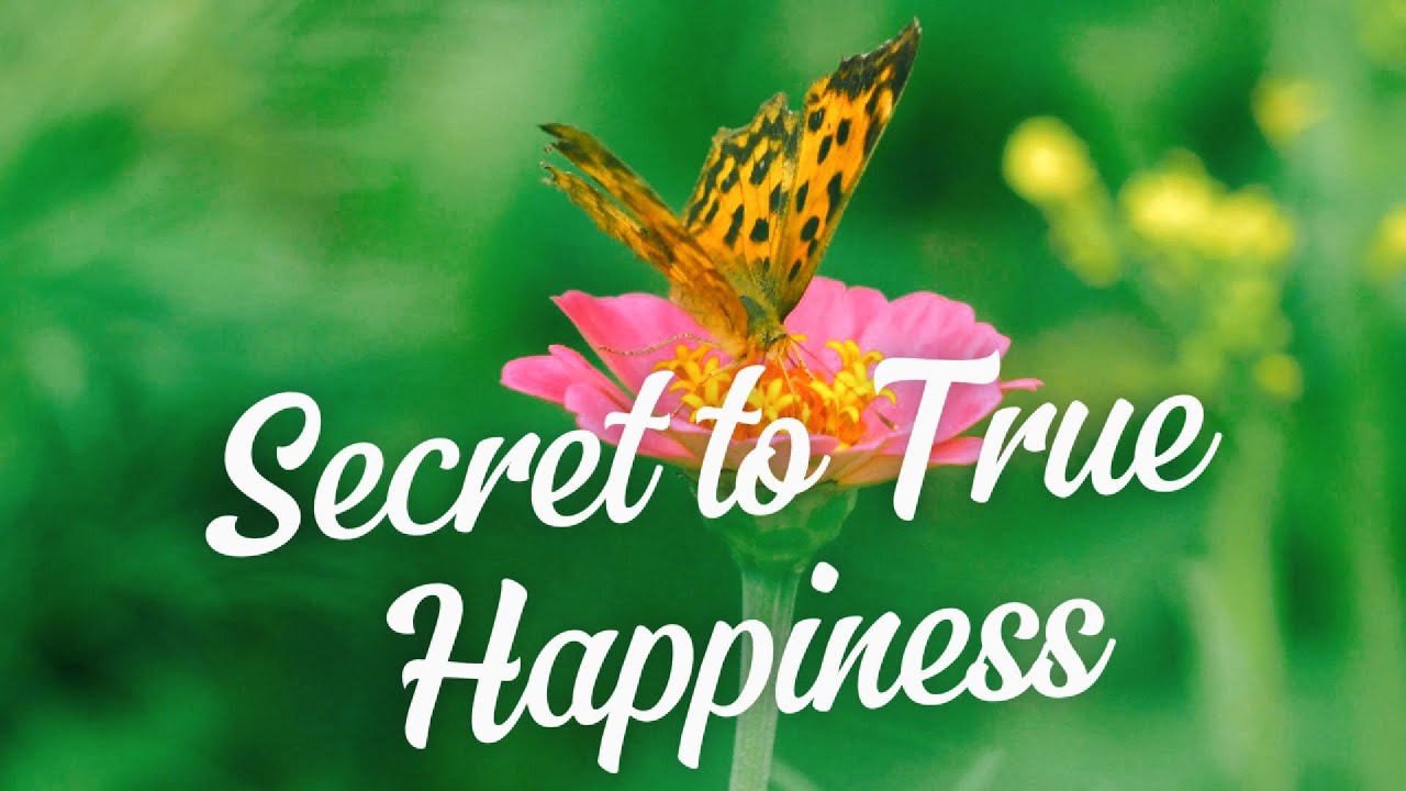 Uncover the Secret to True Happiness It's Not What You Think! YouTube