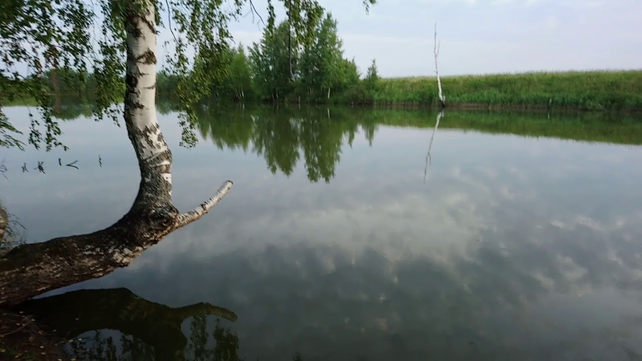 Река келноть Река келноть