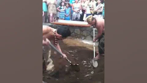 Unveiling the pig