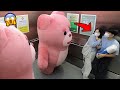 Trapped in elevator with giant bear mannequins prank