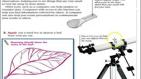 GRADE 4 SKILLS HANDBOOK LESSON 2 HOW DO SCIENTISTS USE TOOLS PART 1