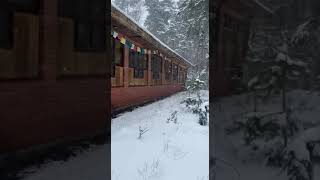 В Северном Кунсангаре наступила ЗИМА. Большие Дворы Павлово-Посадского района 06.04.2025#russia