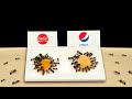 УДИВИТЕЛЬНЫЙ ЭКСПЕРИМЕНТ! ЧТО ВЫБЕРУТ МУРАВЬИ? БИТВА COCA-COLA vs PEPSI