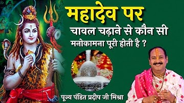 महादेव पर चावल चढ़ाने से कौन सी मनोकामना पूरी होती है !! अवश्य सुनें | Pradeep mishra ji sehore wale
