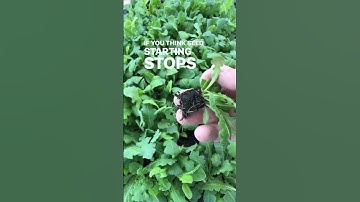 Comment BLOCKER and I’ll DM the link to all you need to start the journey of becoming a stellar soil