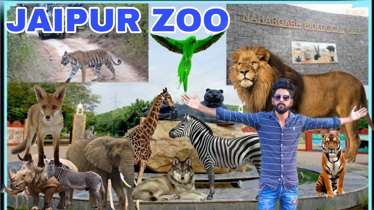 JAIPUR ZOO 🦁NAHARGARH BIOLOGICAL PARK MY FIRST TIME JAIPUR ZOO