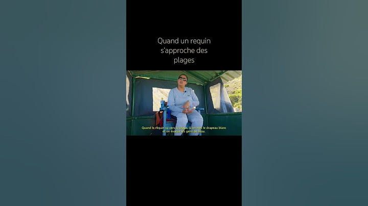 Que se passe-t-il quand un requin approche de la plage ? #afriquedusud #requins #youtubeshorts
