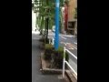 タイニィアリスへの行き方(地下鉄新宿三丁目駅 C7出口より)