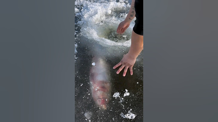Digging Out Fish Stuck In Frozen Lake 🧊